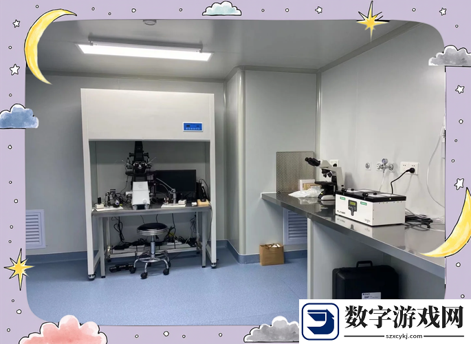 在数字创新浪潮中