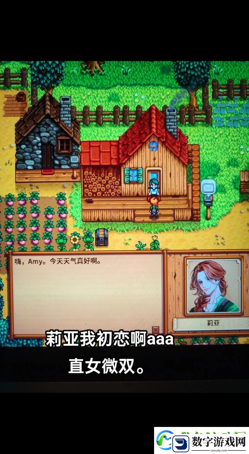 星露谷物语浪漫揭秘