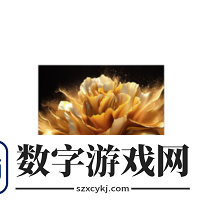 超级焕新日20点开抢
